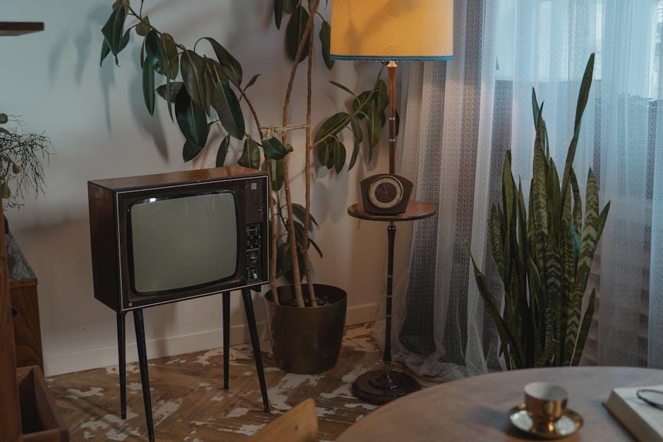 Setting the Scene: Creating a Comfortable Atmosphere