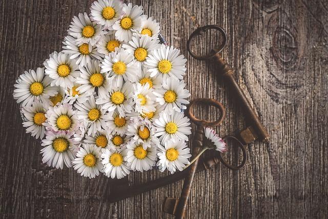 How to show appreciation and gratitude to your partner for a stronger connection