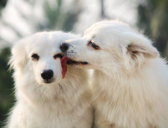 Are relationship dealbreakers too rigid, or necessary for compatibility