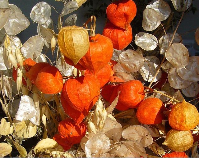 The Importance of Honesty in Your Online Dating Profile