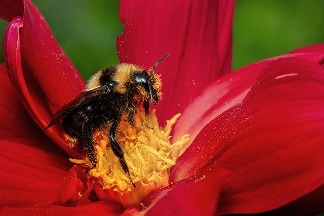 How Bumble’s Women-First Approach Changes the Online Dating Game