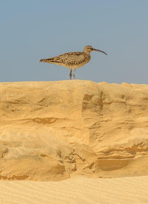 Finding Common Ground: Negotiating Differences with Respect