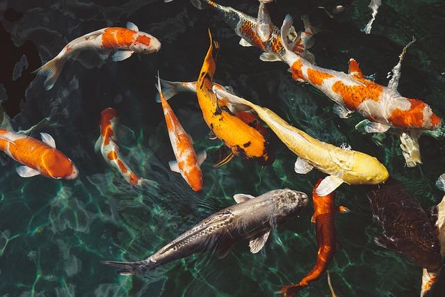 Is Plenty of Fish Still Relevant in Today’s Dating World?