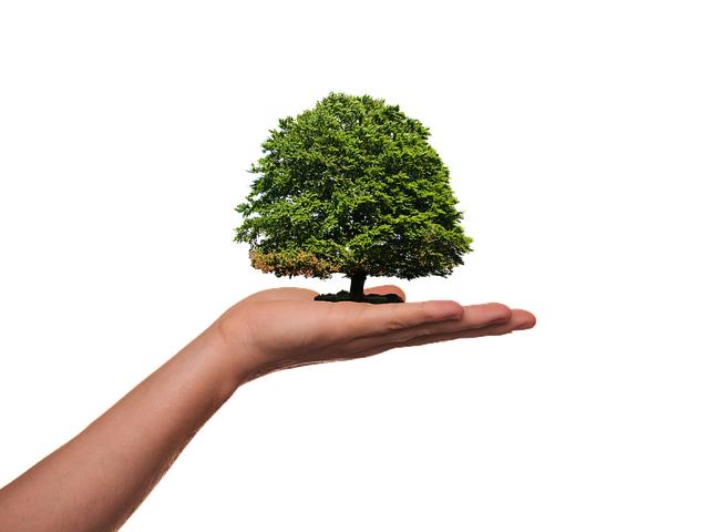 Cultivating Self-Awareness for Healthier Connections