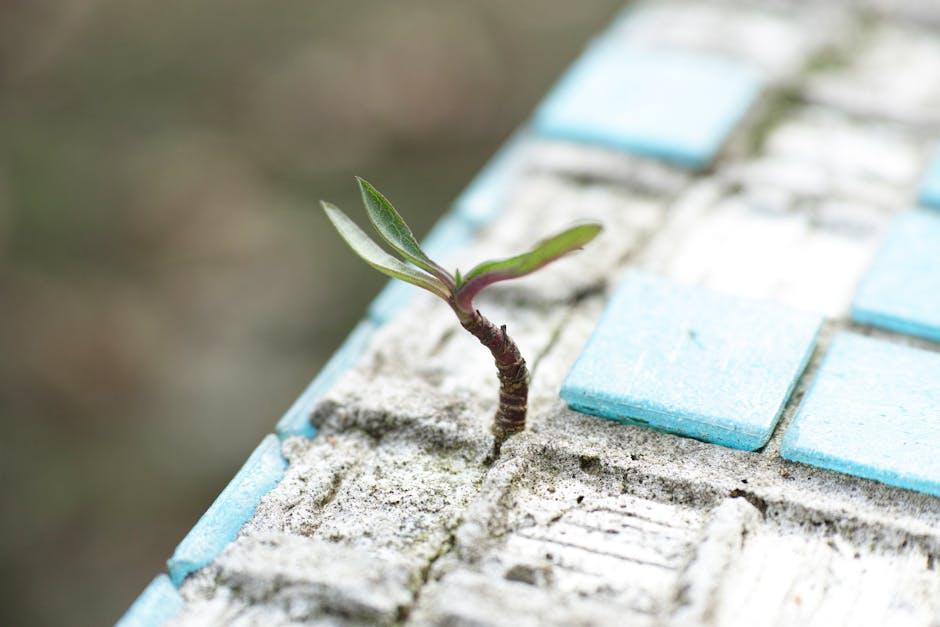 Building Resilience:‌ Turning Setbacks into Growth Opportunities