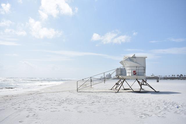 Safety Features and Privacy Considerations