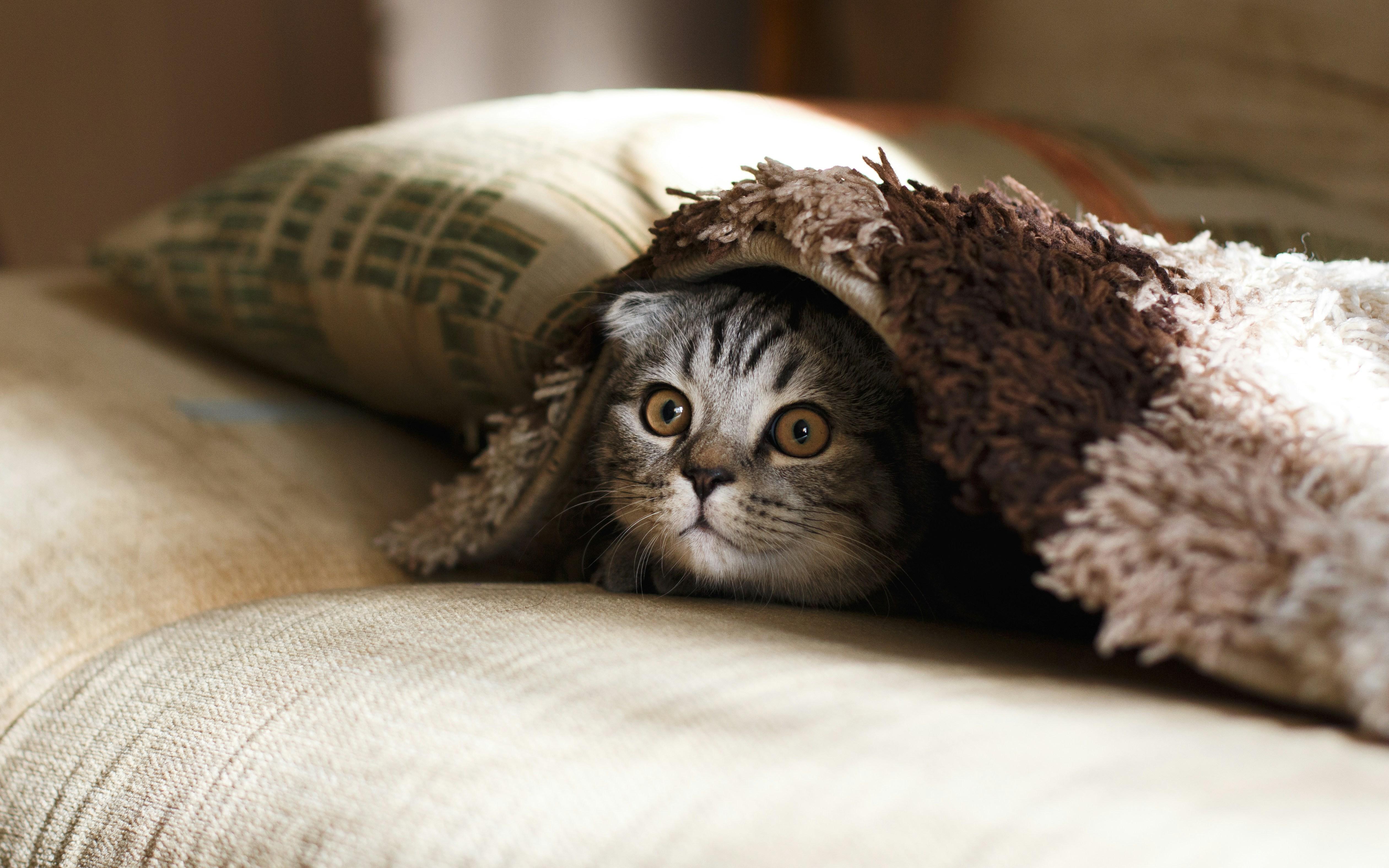 Avoiding Hidden Costs and​ Unnecessary Upgrades