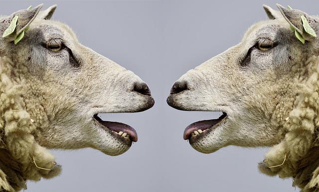 Communicating Wisely Tips for Safe Conversations Online