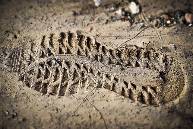 Monitoring Digital Footprints