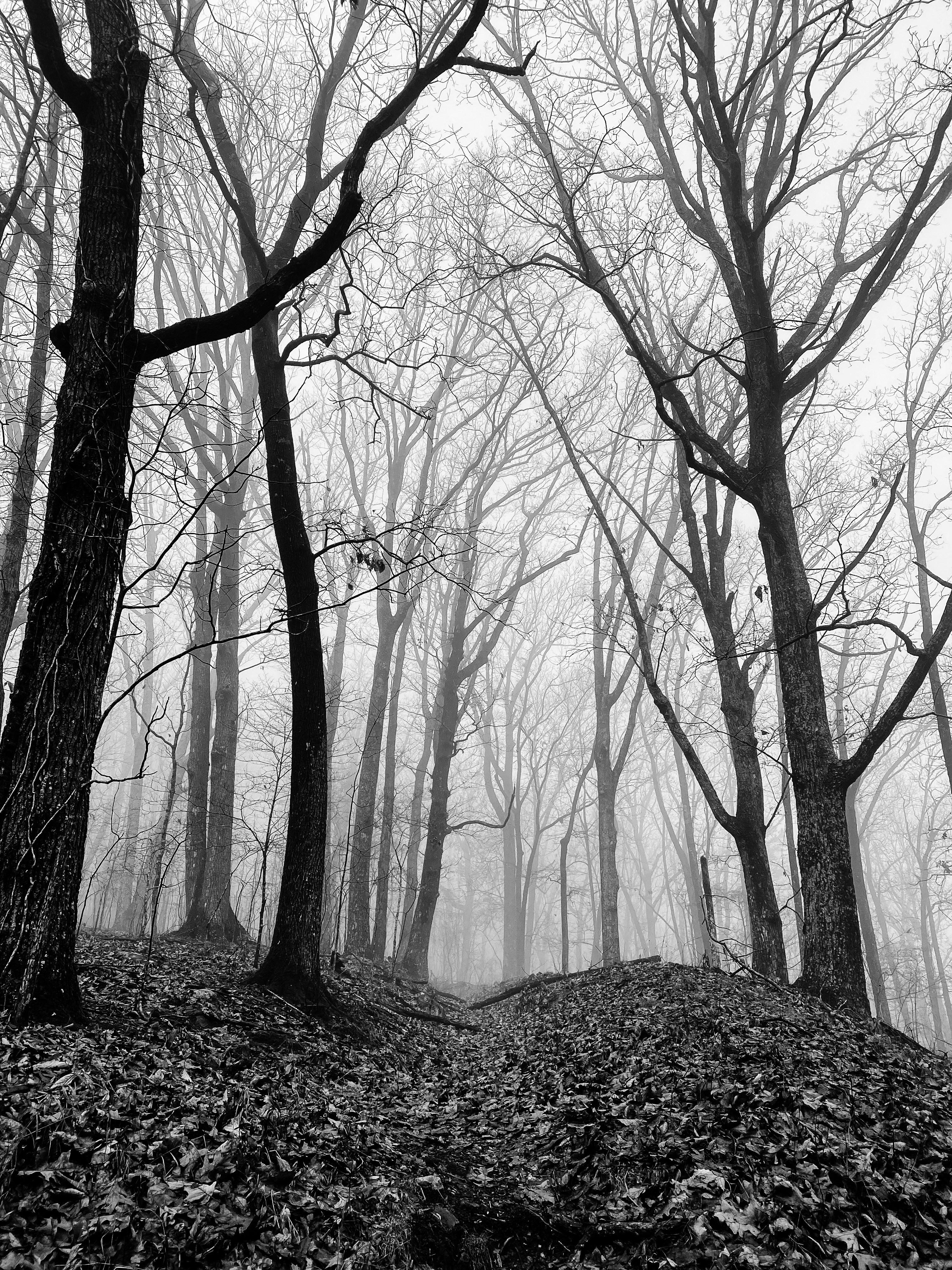 Navigating Fear: Transforming Weakness into Strength