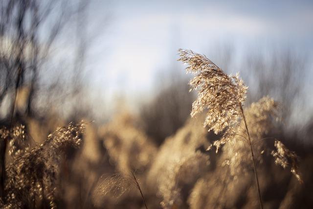 Maintaining Individual Growth to Strengthen Togetherness